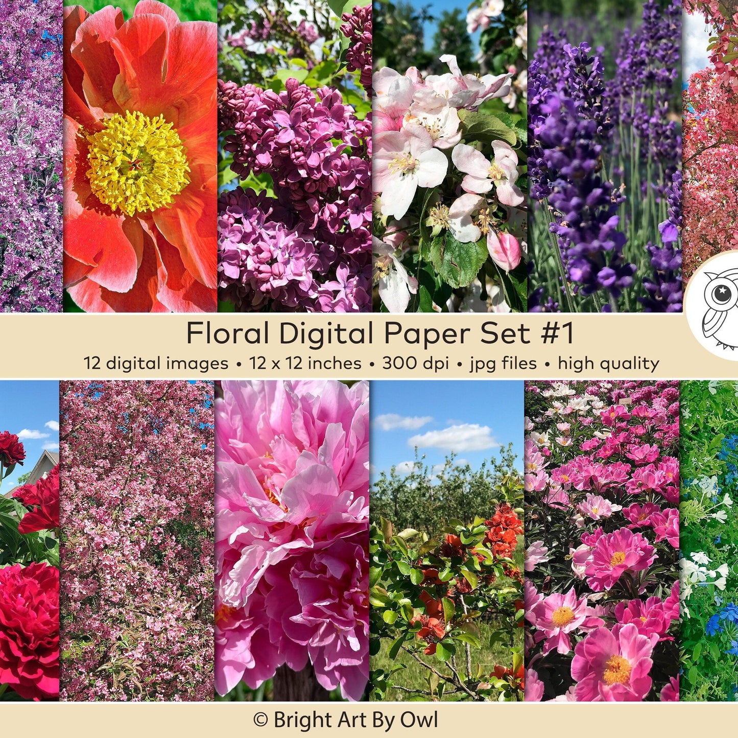 Floral photo digital paper pack instant download