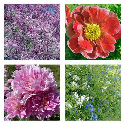 Floral Photo Digital Paper Pack Instant Download