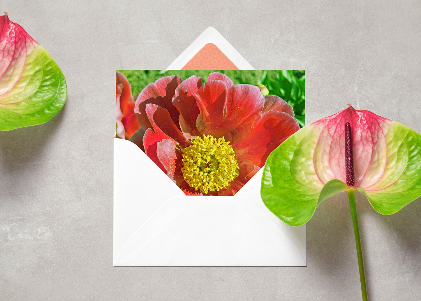 Floral Photo Digital Paper Pack Instant Download