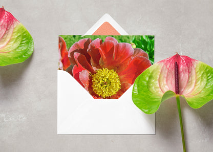 Floral Photo Digital Paper Pack Instant Download