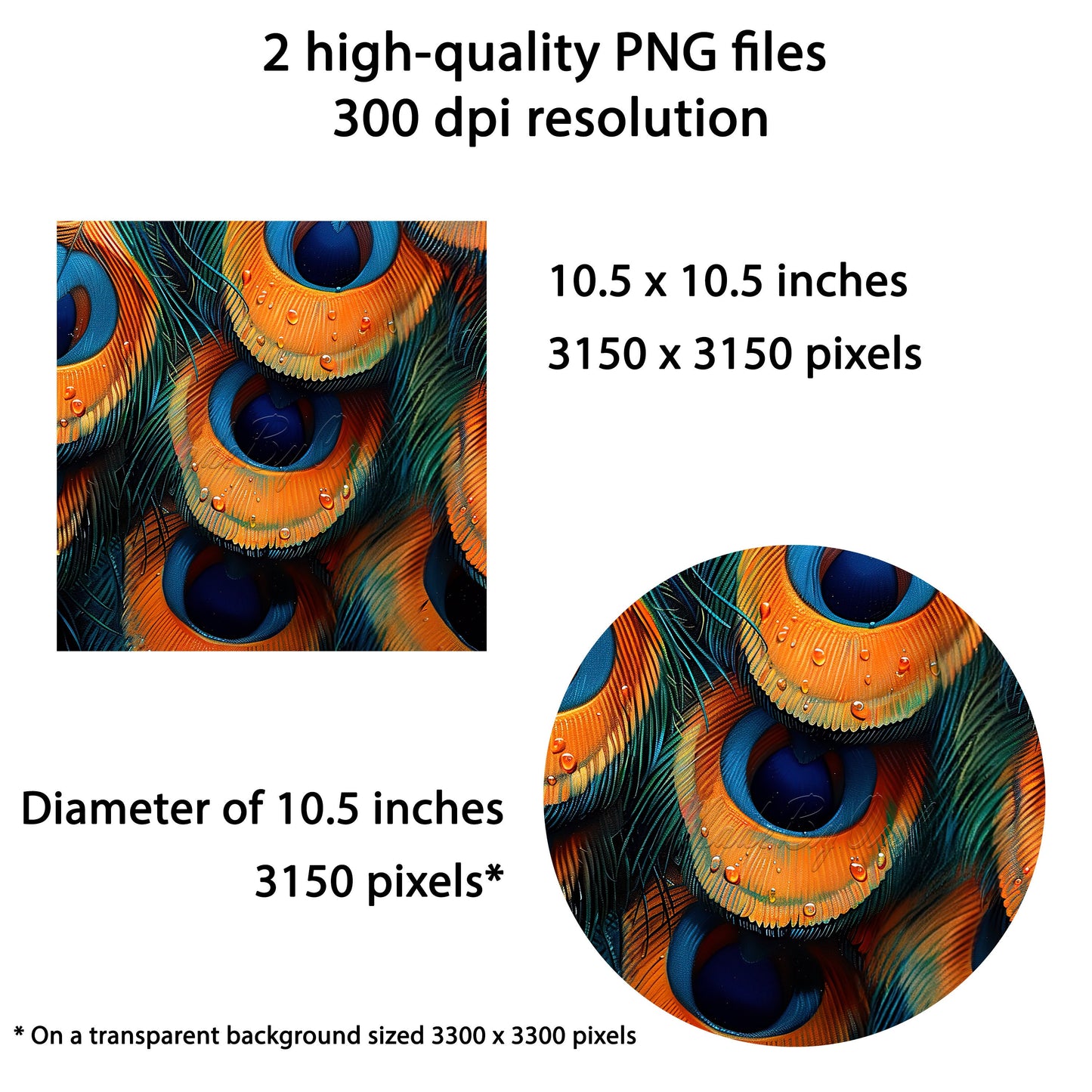 3D Peacock Feathers Wind Spinner Sublimation Design PNG