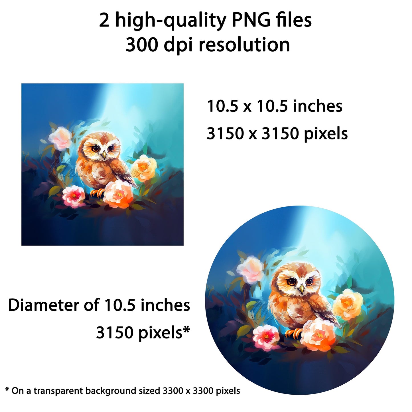 Cute Owl Wind Spinner Design – Sublimation PNG Download