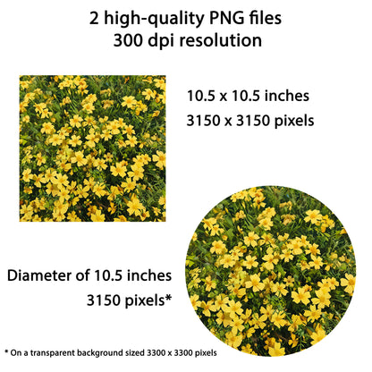 Yellow Flowers Wind Spinner Sublimation Design PNG